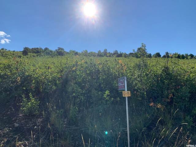 23010 Main Rd - Photo 1