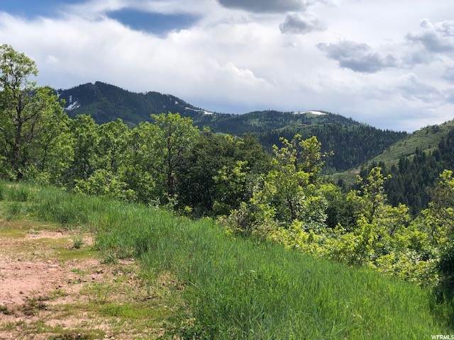 7144 Canyon Dr - Photo 1