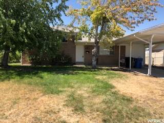 5270 5240 - Photo 1