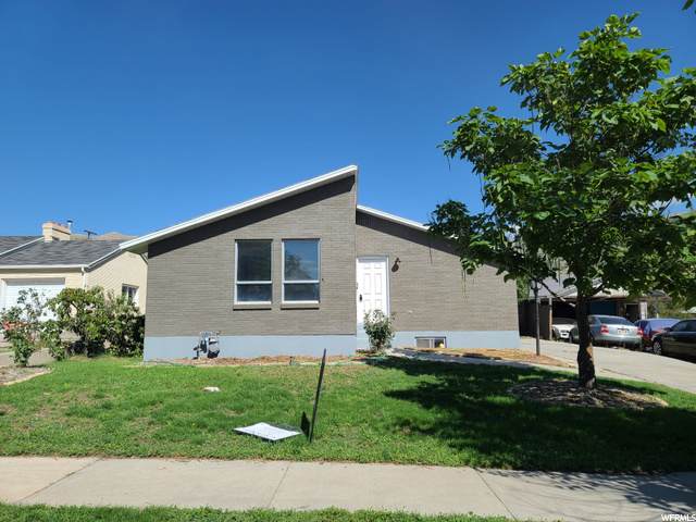 559 100 - Photo 1