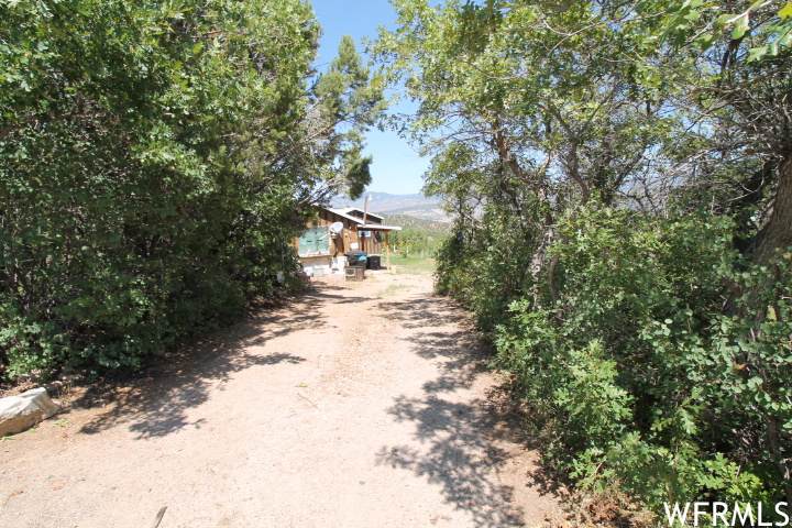 1064 Tabby Access Rd - Photo 1