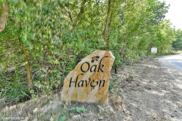 87 In Oak Haven Hvn - Photo 1