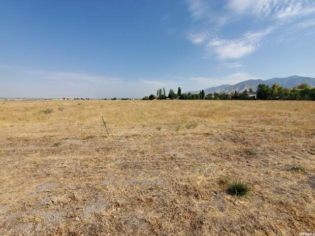 410 1000 - Photo 1