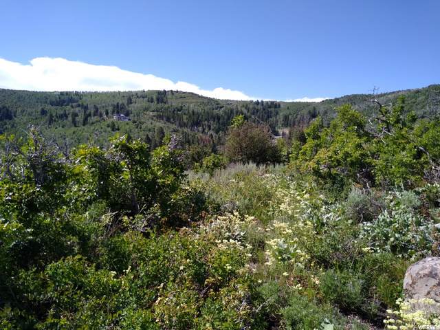 4985 Woodland Way - Photo 1