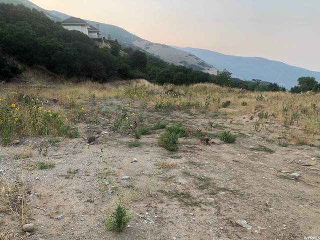 6207 Melanie Ln - Photo 1