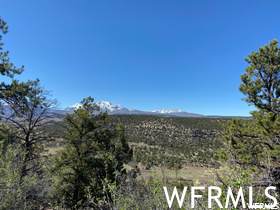 42 E Wray Mesa Rd - Photo 1