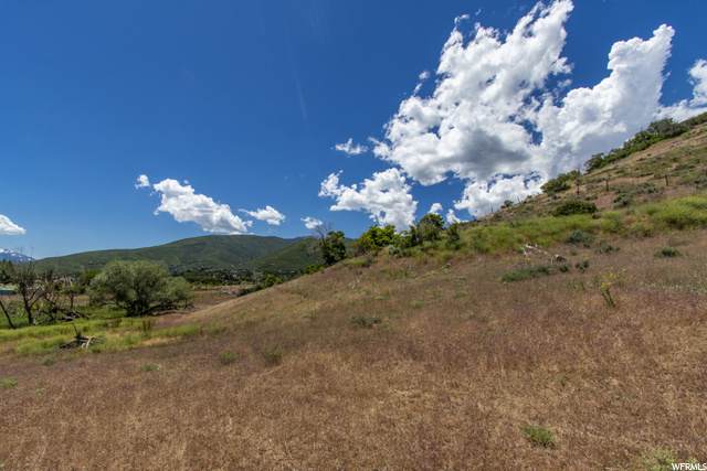 1440 Pine Canyon Rd - Photo 1