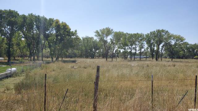 114 2250 - Photo 1