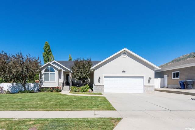 2537 Cupecoy Dr - Photo 1