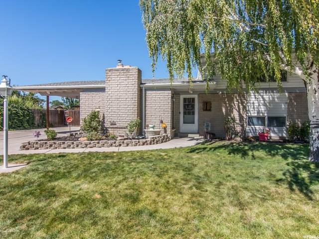 3520 Honda Ave - Photo 1