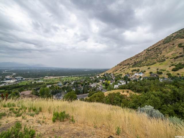 6393 Crest Mount Cir - Photo 1
