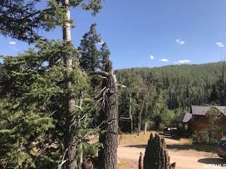 2020 Elk Rd - Photo 1