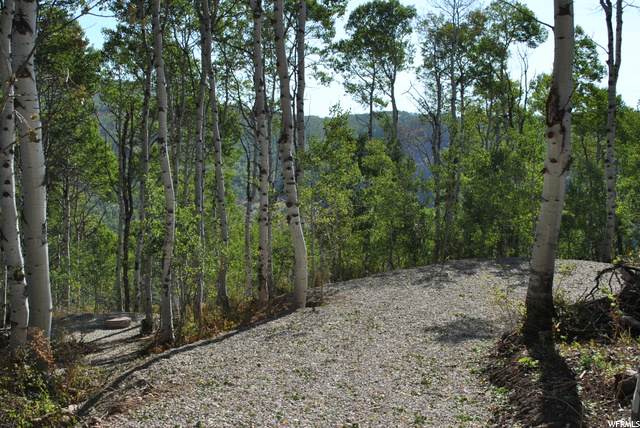 11873 Hawk Pt - Photo 1