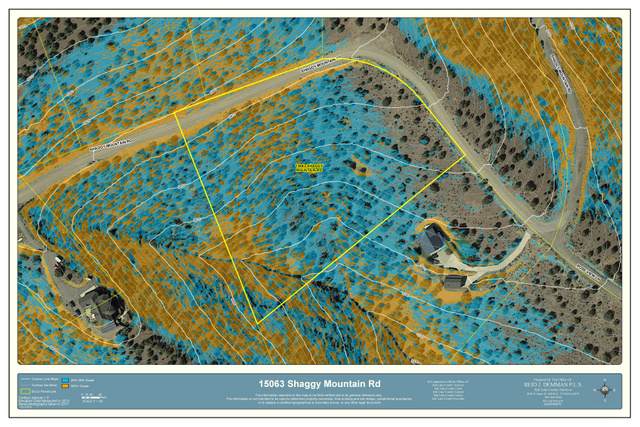 15063 Shaggy Mountain Rd - Photo 1