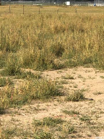 0 00 - Photo 1