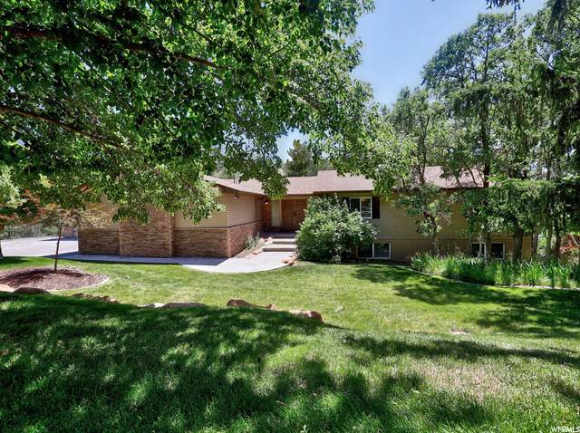 21 Lone Hollow Dr - Photo 1