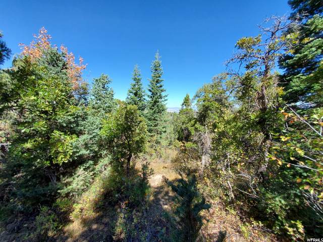 7 B Pine Ridge - Photo 1
