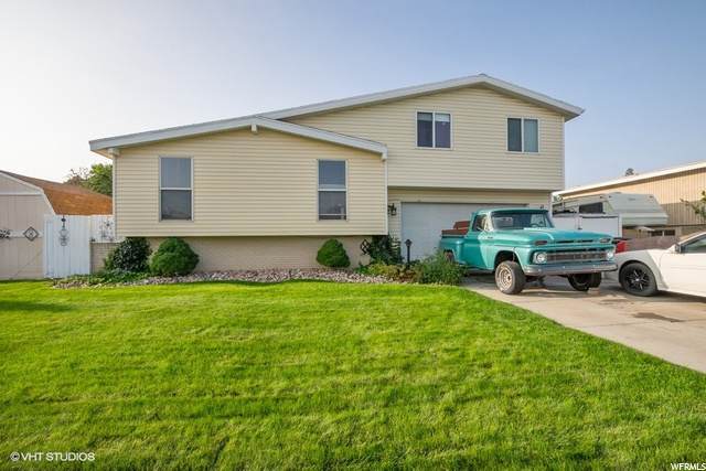 4951 Pamamint Rd - Photo 1
