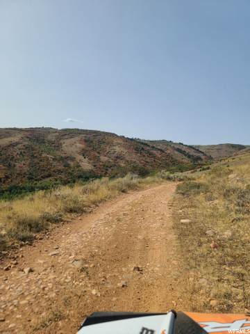 3457 Oak Canyon Rd - Photo 1