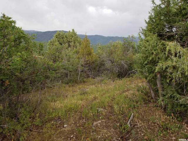 153 Wolf Hollow Rd - Photo 1