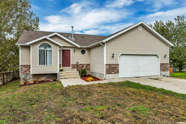 8118 Catalina View Cv - Photo 1