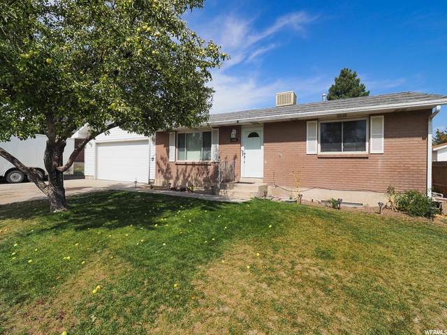 4992 Moon Flower Cir - Photo 1