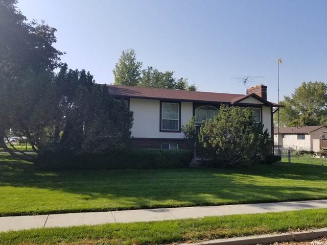 377 100 - Photo 1
