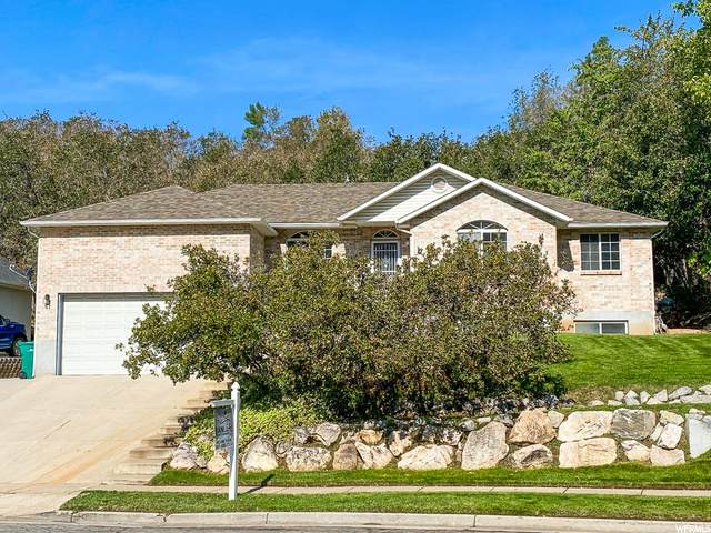 2447 Oak Ln - Photo 1
