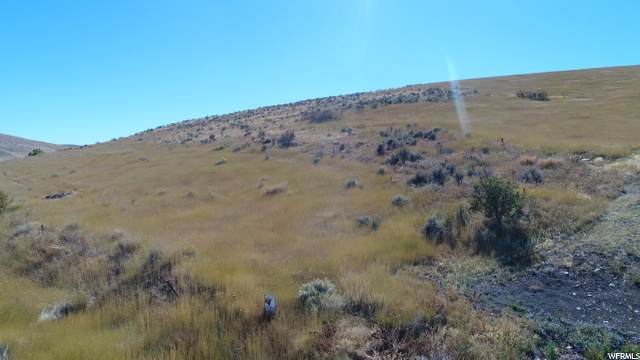 8185 Treasureton Reservoir Rd - Photo 1