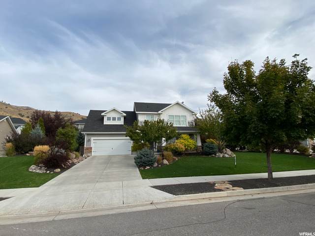 64 1150 - Photo 1