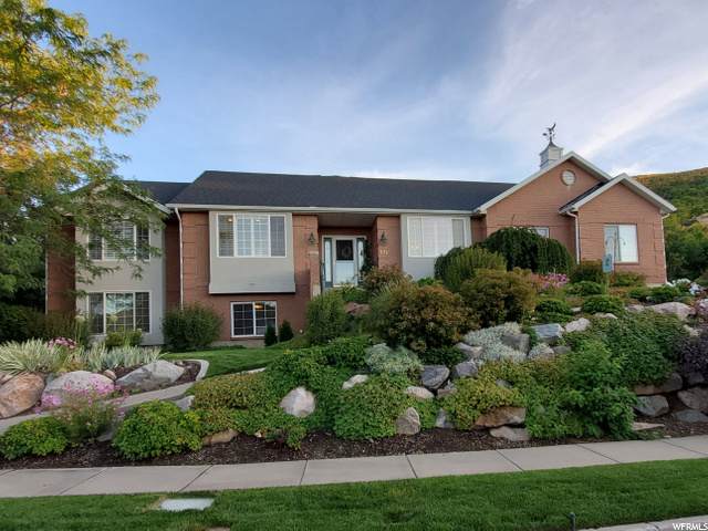 771 Tanglewood Loop - Photo 1