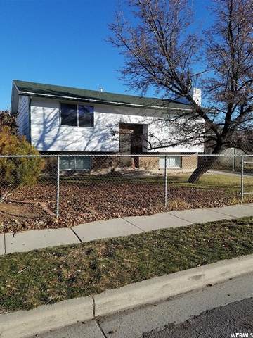 5561 Sarah Jane Dr - Photo 1