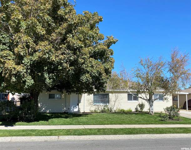 4786 4925 - Photo 1