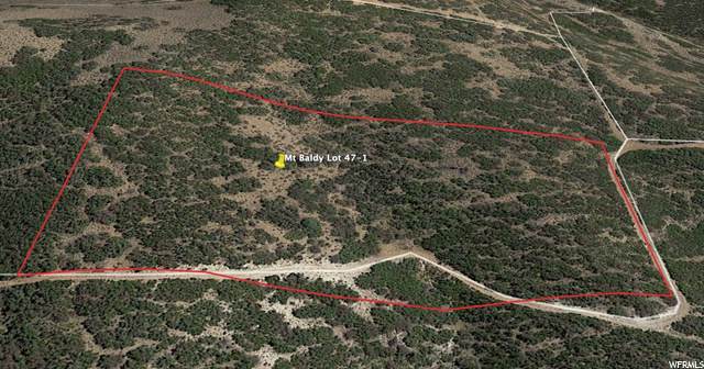 47 Water Hollow - Photo 1