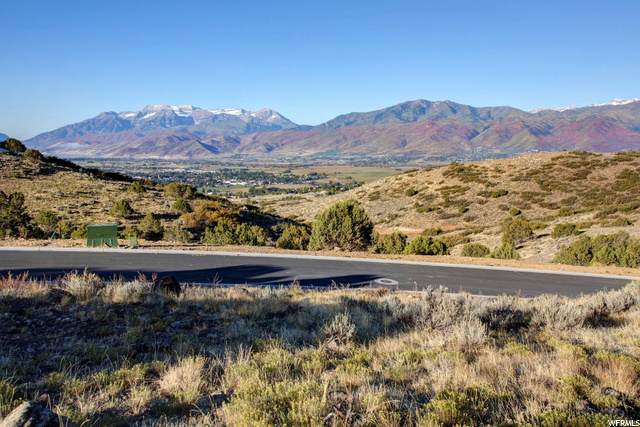 2303 La Sal Peak Dr - Photo 1