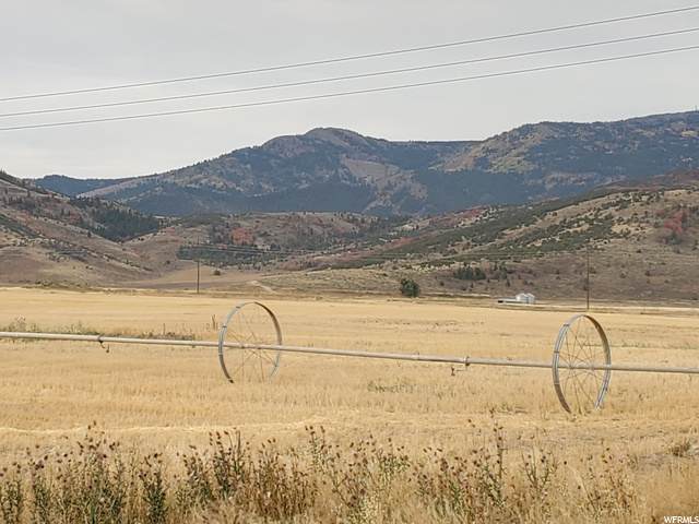 Hegstrom Rd - Photo 1