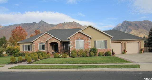 877 Braddock Ln - Photo 1