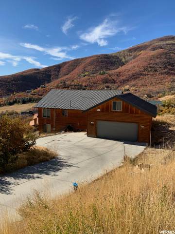 1355 Lucerne Dr - Photo 1