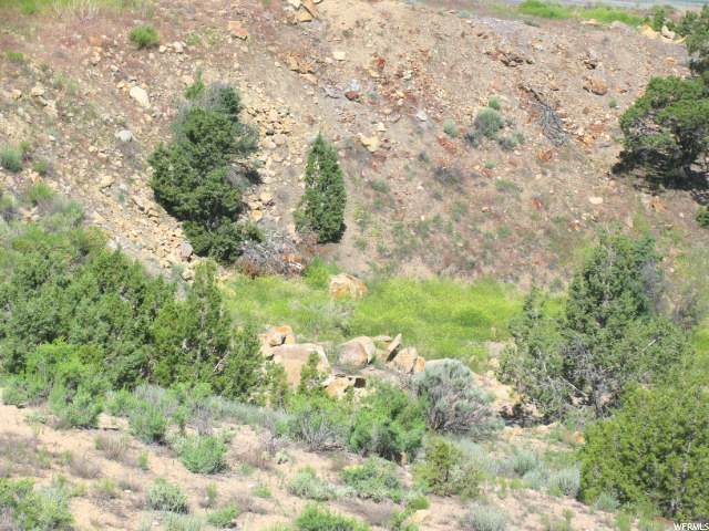 7800 Hwy 6 - Photo 1