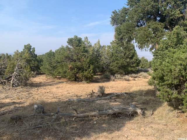 34156 Lasal Rd - Photo 1