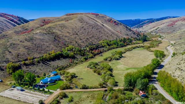 675 Jericho Loop - Photo 1