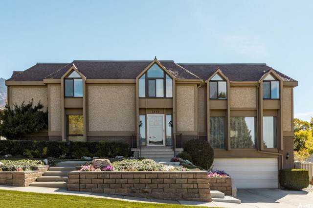 2864 Craig Dr - Photo 1