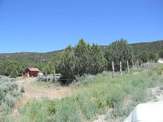 266 Shadow Canyon Dr - Photo 1