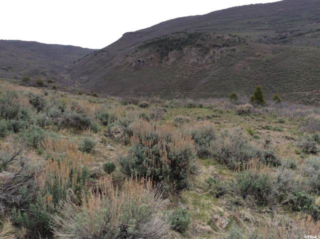 866 Westward Ho - Photo 1