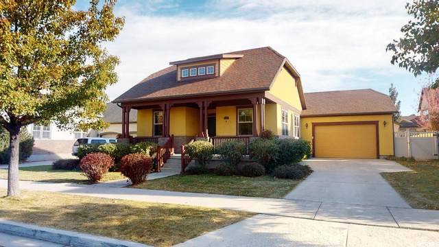 4187 Degray Dr - Photo 1