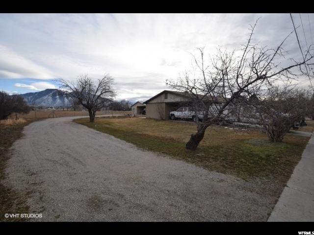 315 Maple St - Photo 1