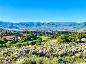 1236 Explorer Peak Cir - Photo 1