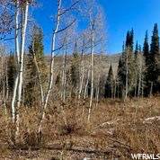 11569 Aspen Rd - Photo 1