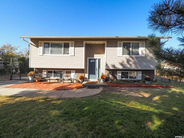5160 Leprechaun Ln - Photo 1