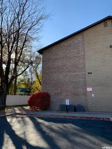 804 Cedar Ct - Photo 1